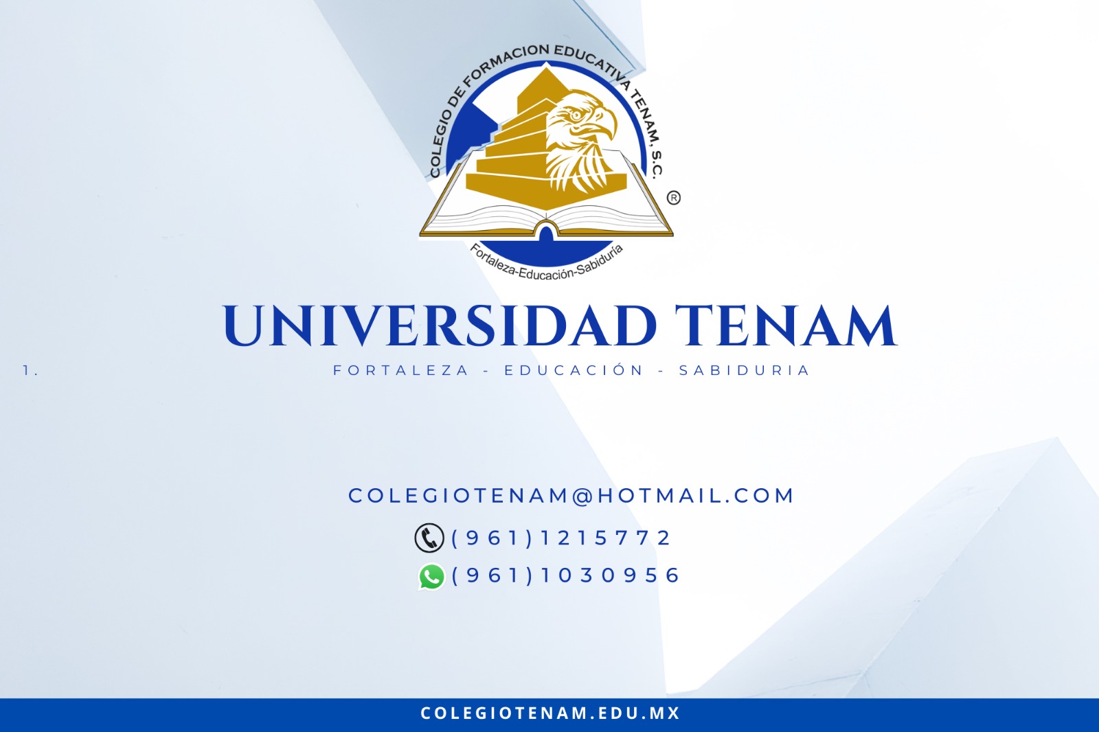Universidad Tenam