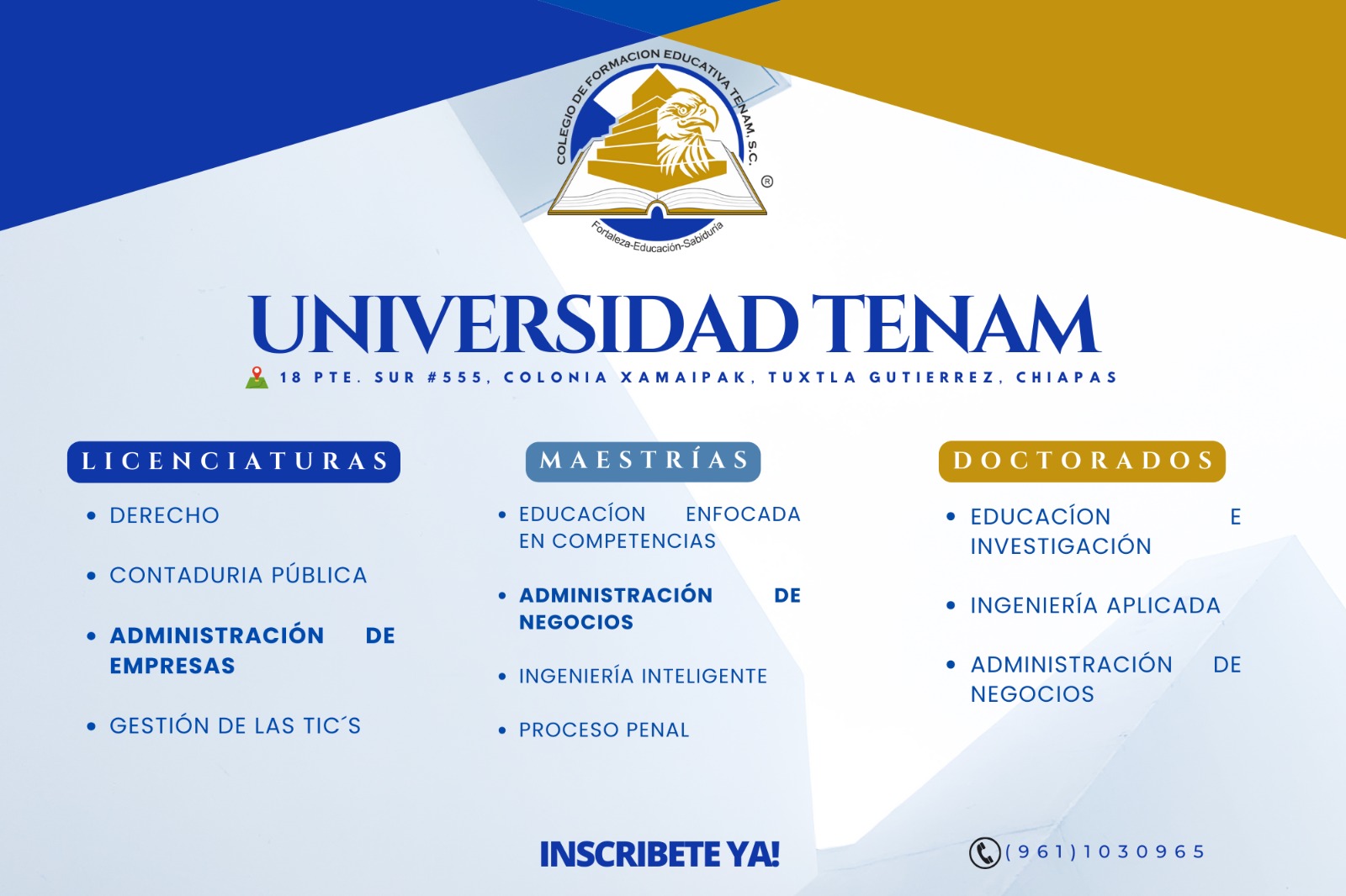 Universidad Tenam Informacion