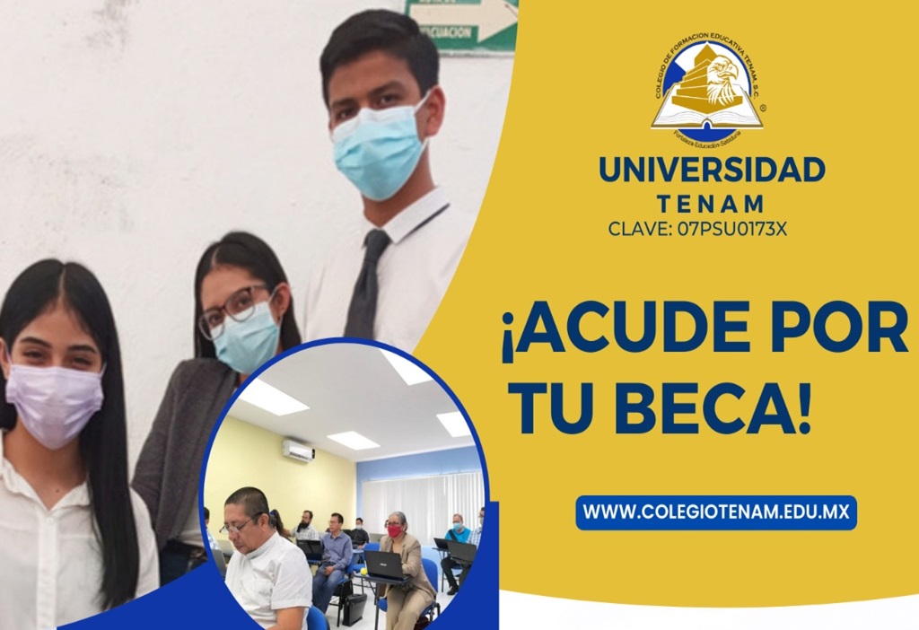 Cursos Nuevo 1